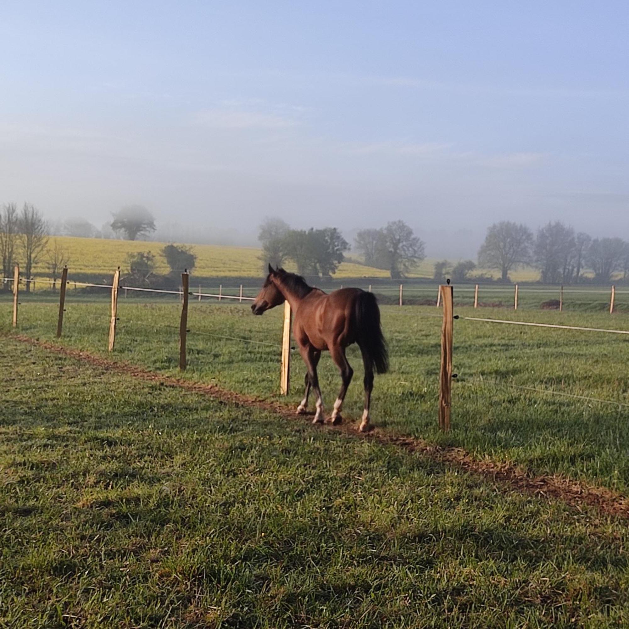 Domaine De La Briouse Bed & Breakfast Sanxay Luaran gambar