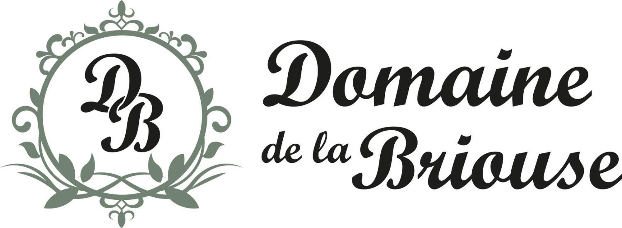 Domaine De La Briouse Bed & Breakfast Sanxay Luaran gambar