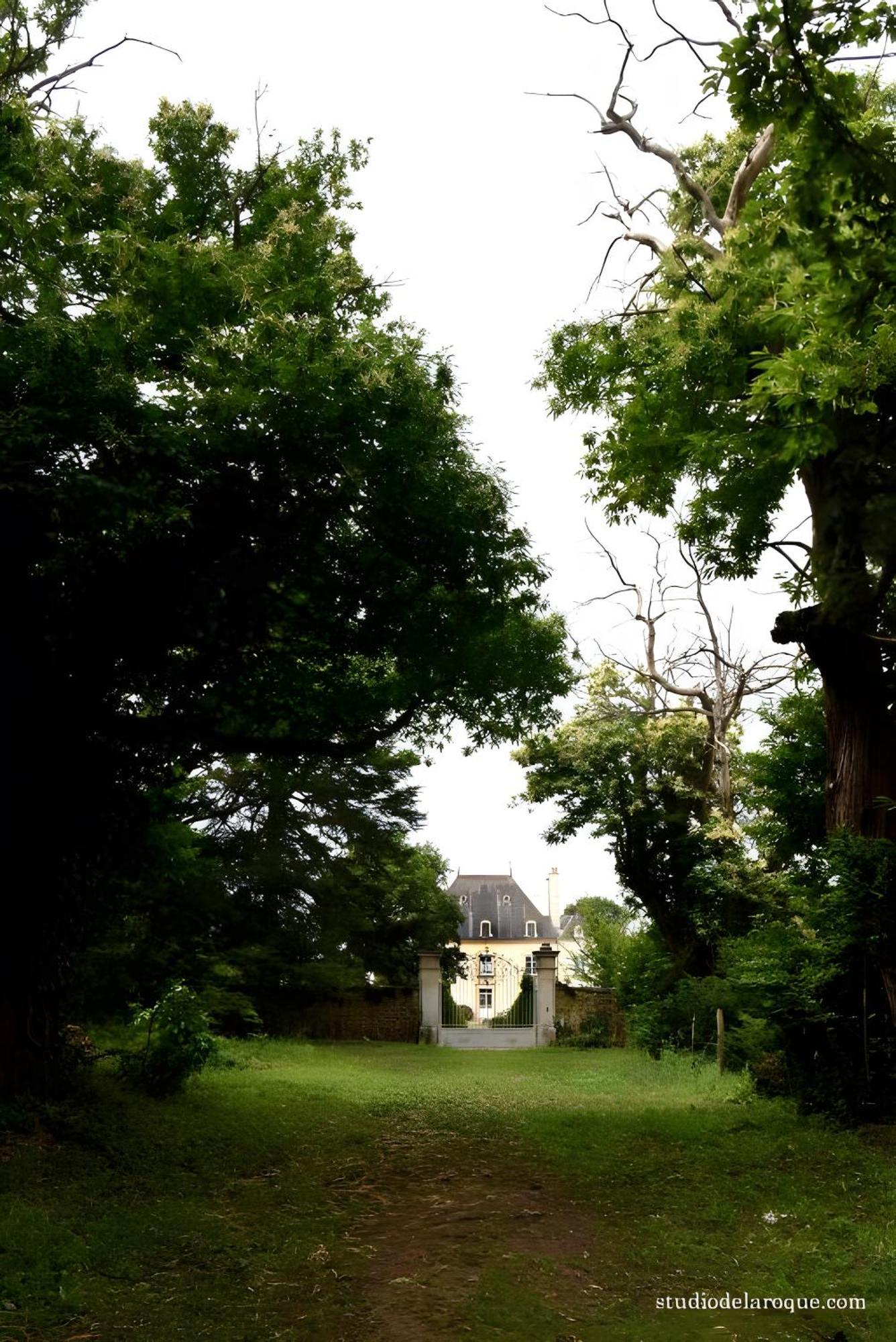 Domaine De La Briouse Bed & Breakfast Sanxay Luaran gambar