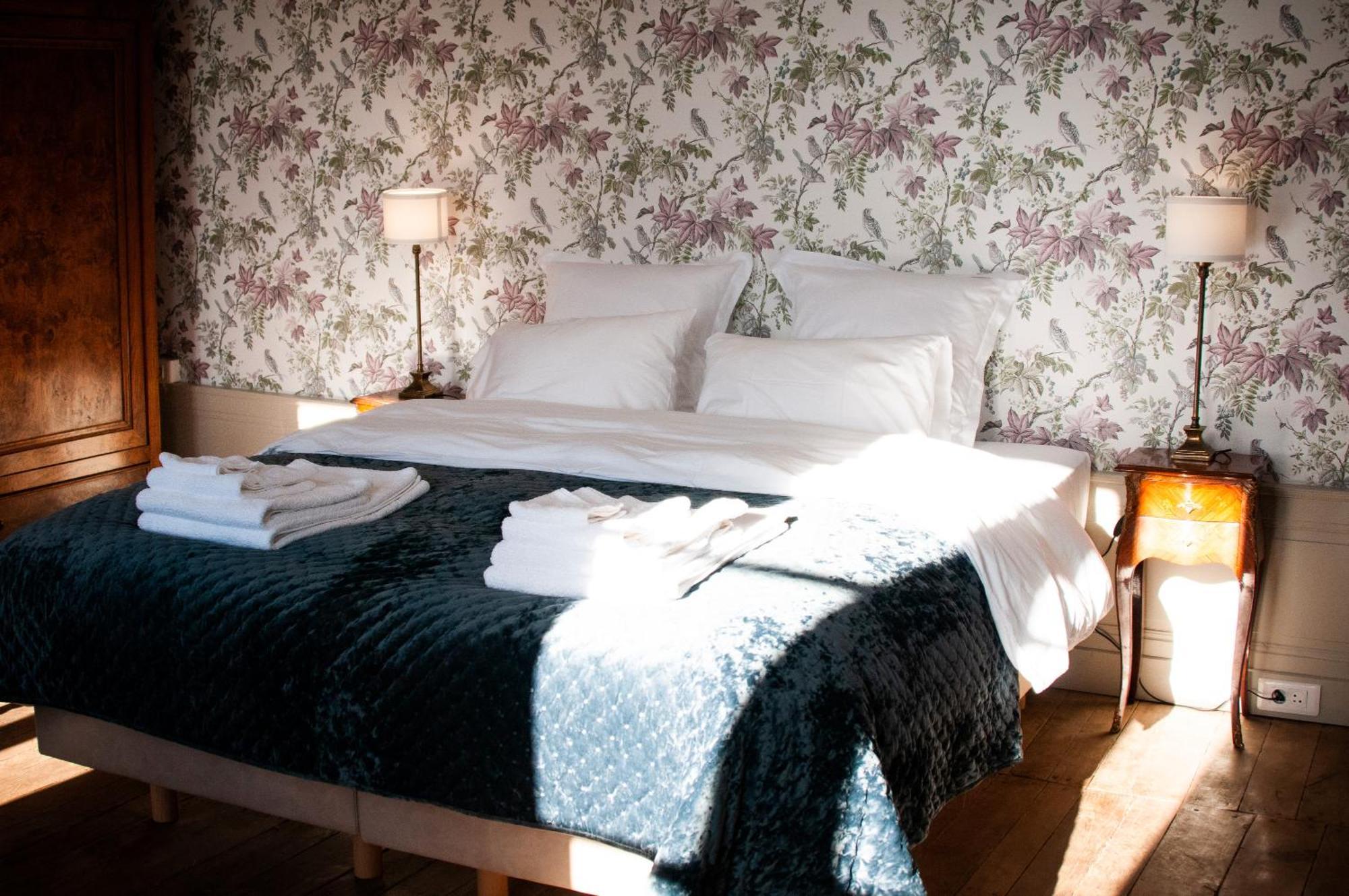 Domaine De La Briouse Bed & Breakfast Sanxay Luaran gambar