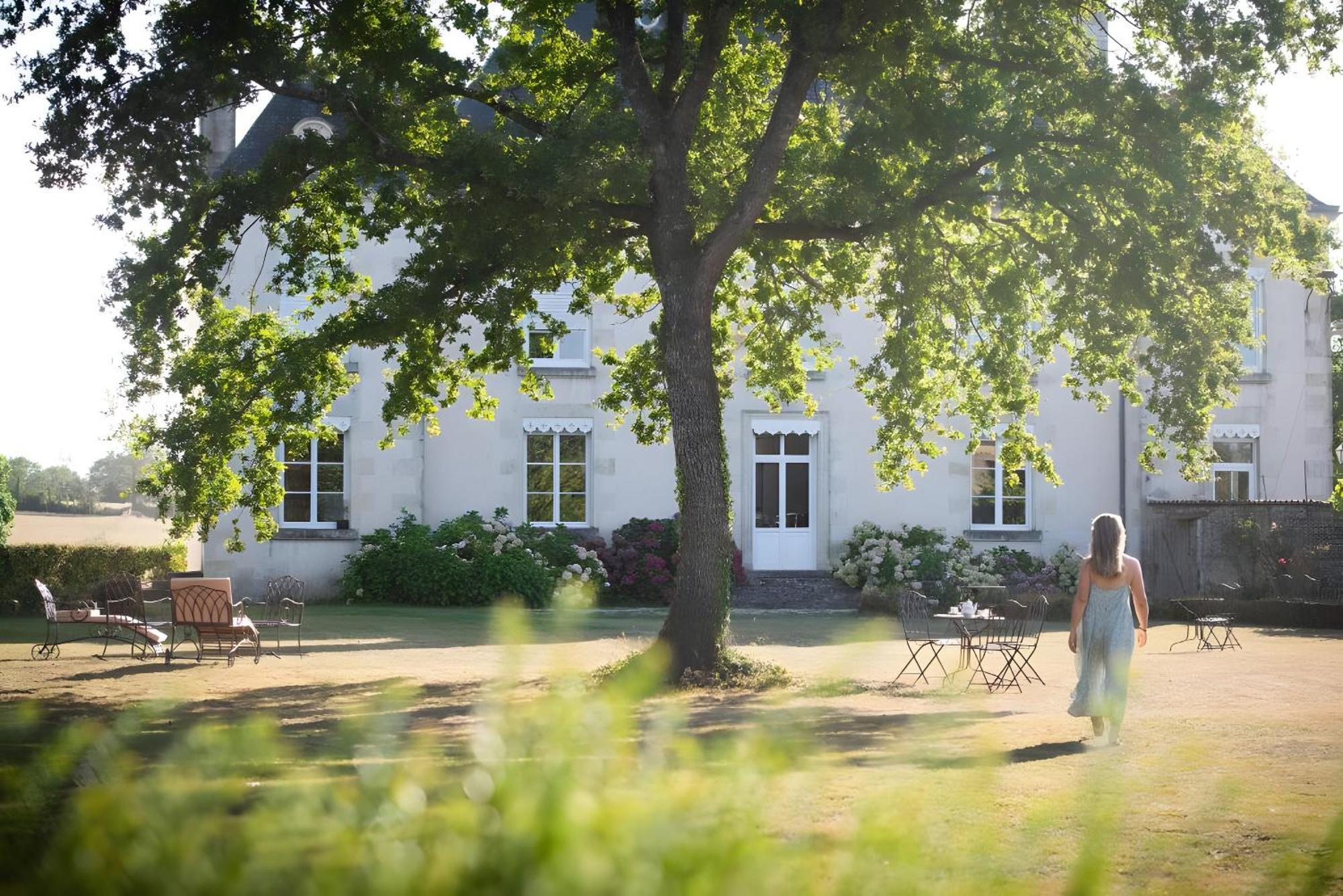 Domaine De La Briouse Bed & Breakfast Sanxay Luaran gambar